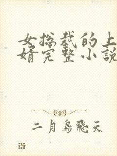 女总裁的上门龙婿完整小说