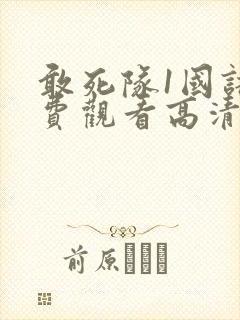 敢死队1国语免费观看高清完整版封面