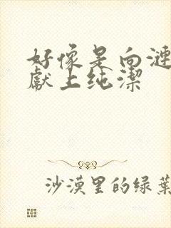 好像是向涟苍士献上纯洁