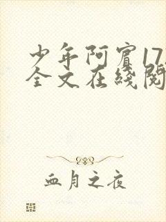 少年阿宾172全文在线阅读