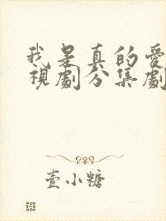 我是真的爱你电视剧分集剧情介绍