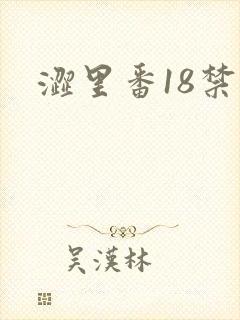 涩里番18禁封面