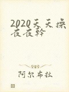 2020天天操夜夜干