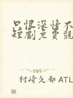 只恨深情不识鸢短剧免费观看