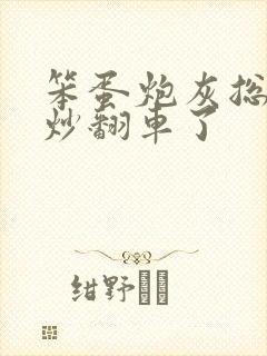 笨蛋炮灰总被爆炒翻车了封面