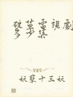 破茧电视剧一共多少集