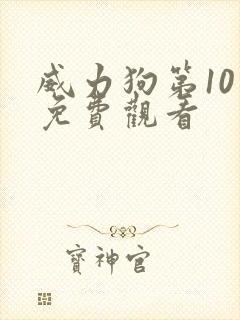 威力狗第10季免费观看