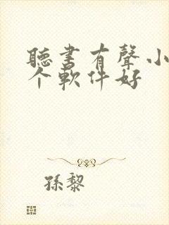 听书有声小说哪个软件好