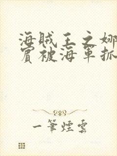 海贼王之娜美罗宾被海军抓住是第几