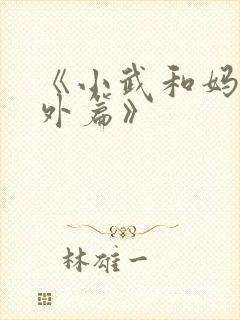 《小武和妈妈番外篇》封面