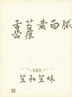 舌苔黄白腻厚有齿痕