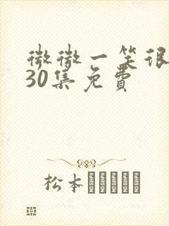 微微一笑很倾城30集免费封面