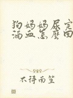 狗妈妈尿完滴几滴血怎么回事封面