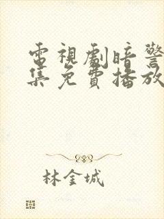 电视剧暗警35集免费播放