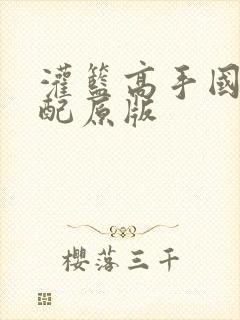 灌篮高手国语台配原版