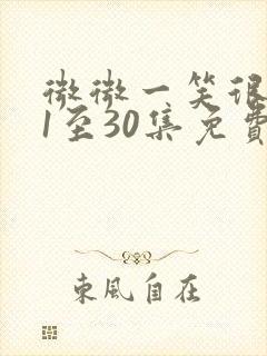 微微一笑很倾城1至30集免费看