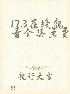 17.3在线观看全集免费完整版高清