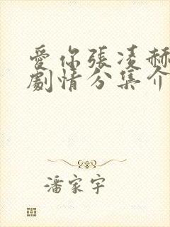 爱你张凌赫分集剧情分集介绍