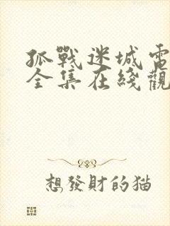 孤战迷城电视剧全集在线观看