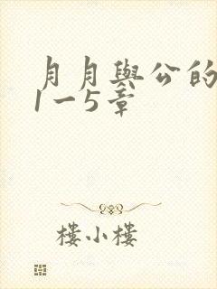 月月与公的激情1一5章