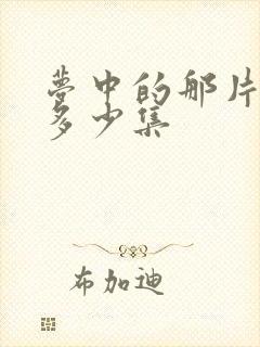 梦中的那片海共多少集