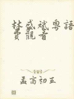 林盛斌粤语版免费观看