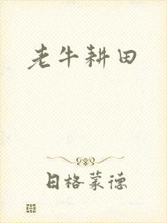 老牛耕田