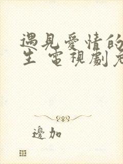 遇见爱情的利先生 电视剧免费观看