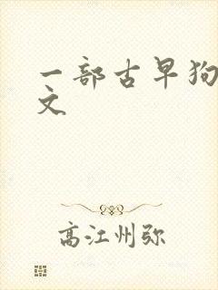 一部古早狗血虐文