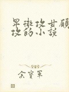 卑微攻甘愿被反攻的小说