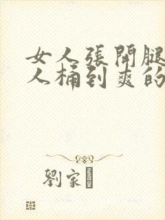 女人张开腿让男人桶到爽的网站