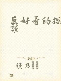 巨好看的总裁小说