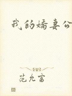 我的娇妻公务员