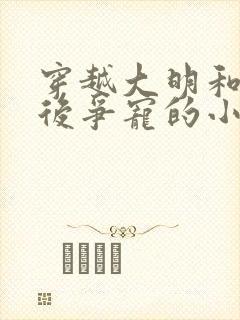 穿越大明和马皇后争宠的小说