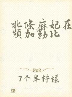 北条麻妃在线视频加勒比