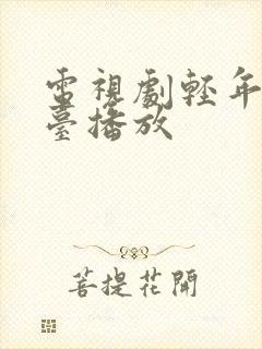 电视剧轻年哪个台播放