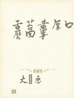 舌苔黄厚口苦怎么回事