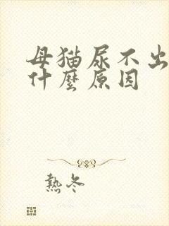 母猫尿不出尿是什么原因