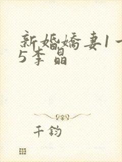 新婚娇妻1一25李晶
