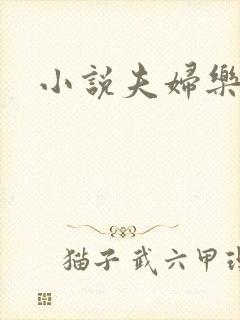 小说夫妇乐园