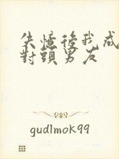 失忆后我成了死对头男友封面