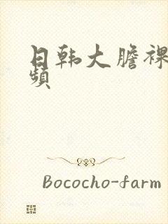 日韩大胆裸体视频