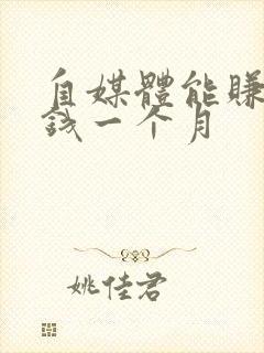 自媒体能赚多少钱一个月