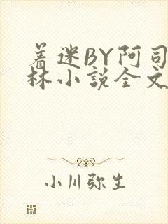 着迷BY阿司匹林小说全文免费阅读