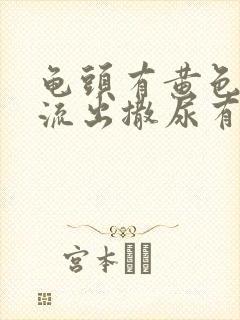 龟头有黄色液体流出撒尿有刺疼