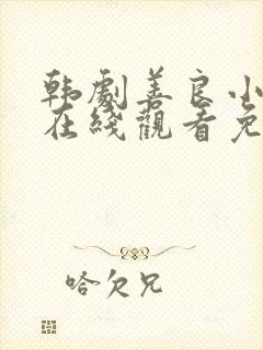 韩剧善良小 子在线观看免费