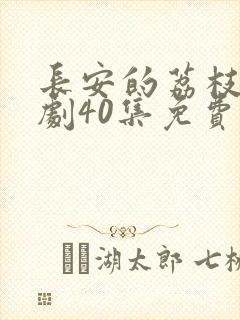 长安的荔枝电视剧40集免费播放