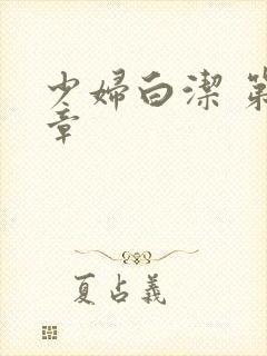 少妇白洁 第七章封面