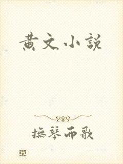 黄文小说