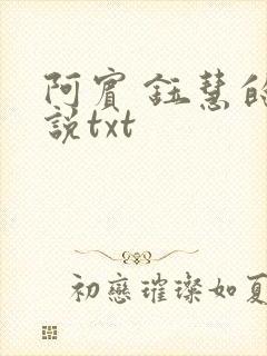阿宾 钰慧的小说txt